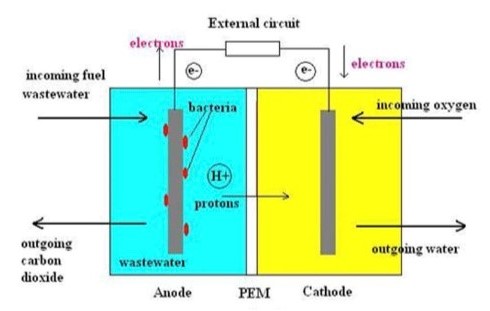 a visualisation of a microbial fuel cell